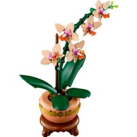 Конструктор LEGO The Botanical Collection 10343 Мини Орхидея