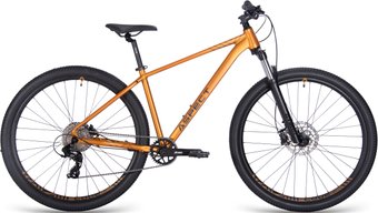 Aspect Nickel 29 XL 2025 (золотистый)