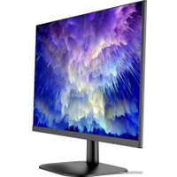 Монитор NPC MD2409-A