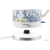 Электрический чайник Concept RK0020