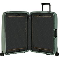 Чемодан Samsonite Essens Sage 75 см