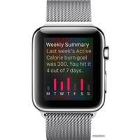 Умные часы Apple Watch 42mm Stainless Steel with Milanese Loop (MJ3Y2)