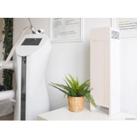 Бактерицидный рециркулятор Ultrafor Стандарт (светлое дерево)