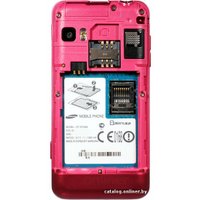 Телефон Samsung S7230E Wave 723 La Fleur