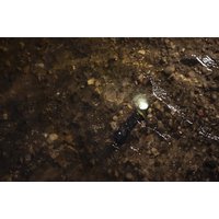 Фонарь Armytek Elf C2 Max USB-C (белый)