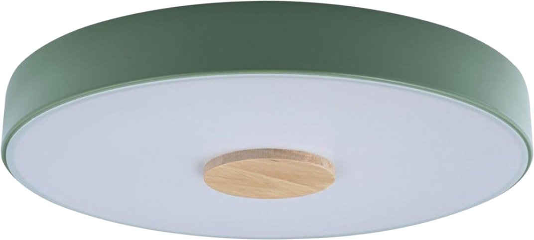 

Светильник-тарелка LOFT IT Axel 10003/24 Green