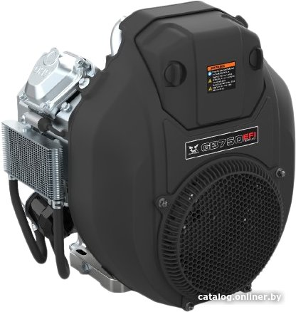 Бензиновый двигатель Zongshen GB750EFI 1T90QA77E