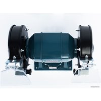 Заточный станок Alteco BG 150-125 12752