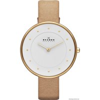 Наручные часы Skagen SKW2137 в Пинске