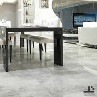 Керамогранит (плитка грес) Foir Group Lion Light Gray 595x1190 (полированная) в Гродно