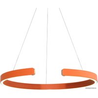 Подвесная люстра LOFT IT Ring 10025/600 Orange