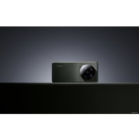 Телефон Xiaomi 13 Ultra 12GB/256GB китайская версия (черный)