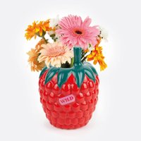 Ваза Doiy Raspberry DYVASFMRA в Гродно