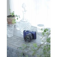 Беззеркальный фотоаппарат Fujifilm X-A1 Body