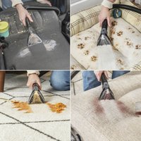 Пылесос Bissell SpotClean C9 Pro 3911N