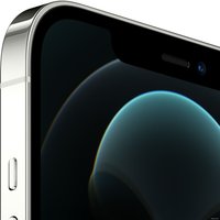 Смартфон Apple iPhone 12 Pro Max 128GB (серебристый)