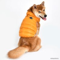 Жилетка для животных Puppia Ultra Light Vest A PAPD-JM1670-MS-XXL (оранжевый)