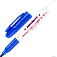 Набор маркеров Юнландия Colorway 152100 (10 шт)