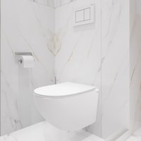 Унитаз подвесной Lauter Sulzdorf с микролифтом и кнопкой смыва 219701J (белый/хром)