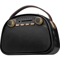 Радиоприемник Ritmix RPR-040 (черный)