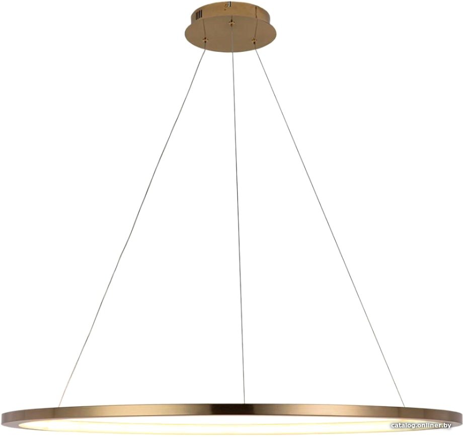 Подвесная люстра LOFT IT Ring 10014XL