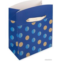 Пакет подарочный Stilerra BBOX-1M 01 18x13x23 см в Бресте