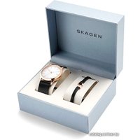 Наручные часы Skagen SKW1102