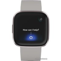 Умные часы Fitbit Versa 2 (серый/серый алюминий)