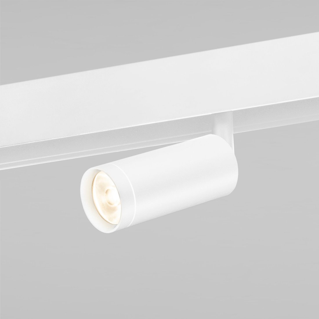 

Трековый светильник Elektrostandard Porte 85507/01 (белый)