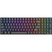 Клавиатура Royal Kludge RK100 RGB (черный, RK Red)