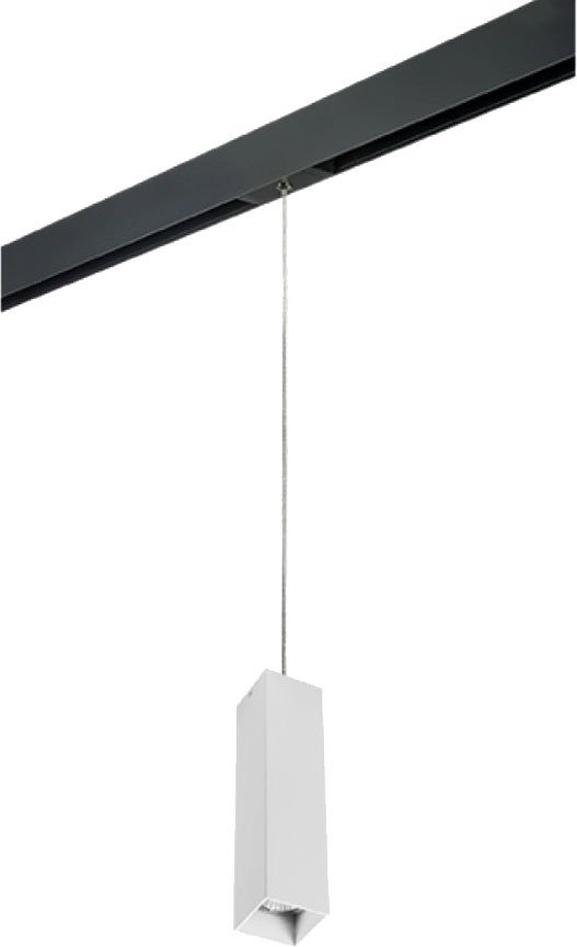 

Трековый светильник Lightstar Rullo PRORP6396