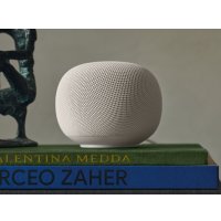 Умная колонка Google Home Speaker (фарфор)