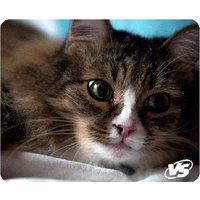 Коврик для мыши VS Cat VS_B4648
