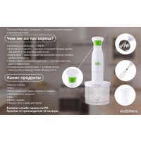 Погружной блендер Goodhelper HB-415SET