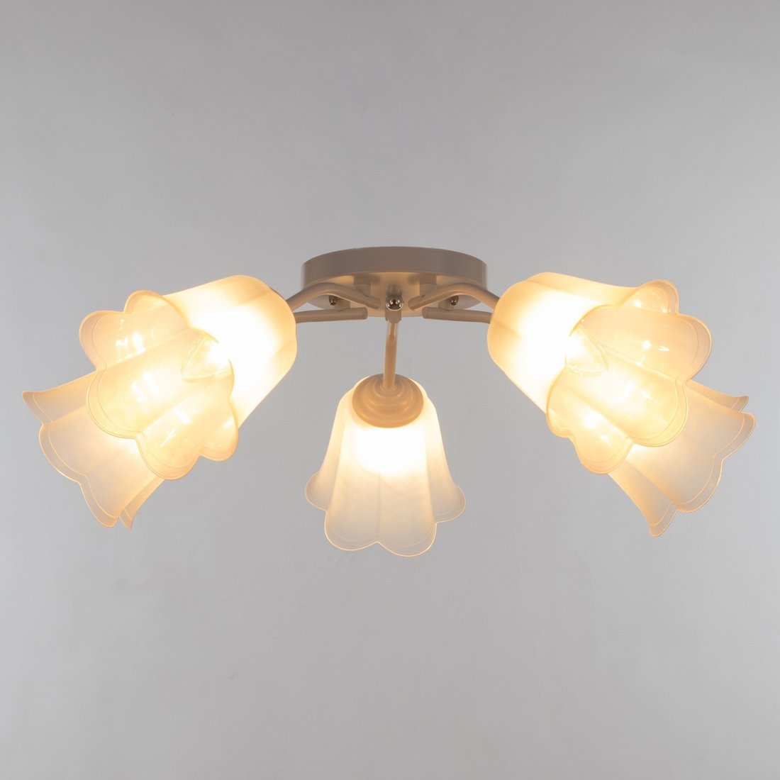 

Люстра BayerLux Онлайн Цветок 9095874 (белый/прозрачный)