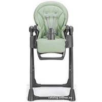 Высокий стульчик CAM Pappananna Icon (C256)