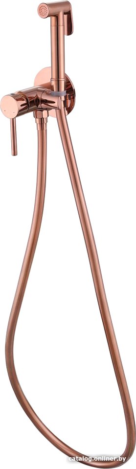 Гигиенический душ Abber Wasser Kreis AF8125RG (розовое золото)