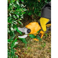 Секатор Denzel CP-30-0 (без АКБ)