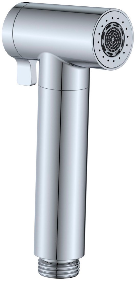 Душевая лейка Altrobagno Modern 060205 Cr