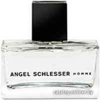 Туалетная вода Angel Schlesser Homme edT (125 мл)