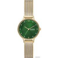 Наручные часы Skagen Anita SKW3063