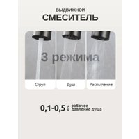 Кухонная мойка Saniteco LD0112