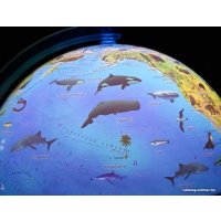 Школьный глобус Globen Зоогеографический Классик Евро с подсветкой Ке012500270
