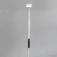 Торшер Citilux Марк CL804020