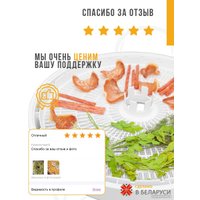 Поддон Сам Себе Шеф силиконовый сетчатый 35 см (2 шт)