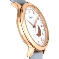 Наручные часы Timex TW2V49400 в Бобруйске