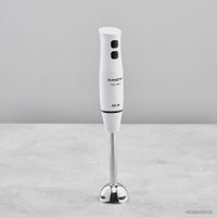 Погружной блендер Scarlett SC-HB42F06