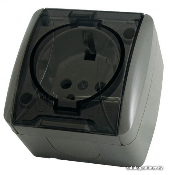 Розетка TDM Electric Селигер SQ1818-0107