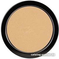 Компактная пудра Paese Illuminating Covering Powder 3C золотой бежевый (9 г)