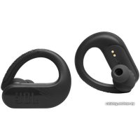 Наушники JBL Endurance Peak 3 (черный)
